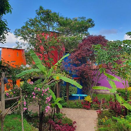 Chameleon Hill Forest Lodge Bwindi Impenetrable Park Esterno foto