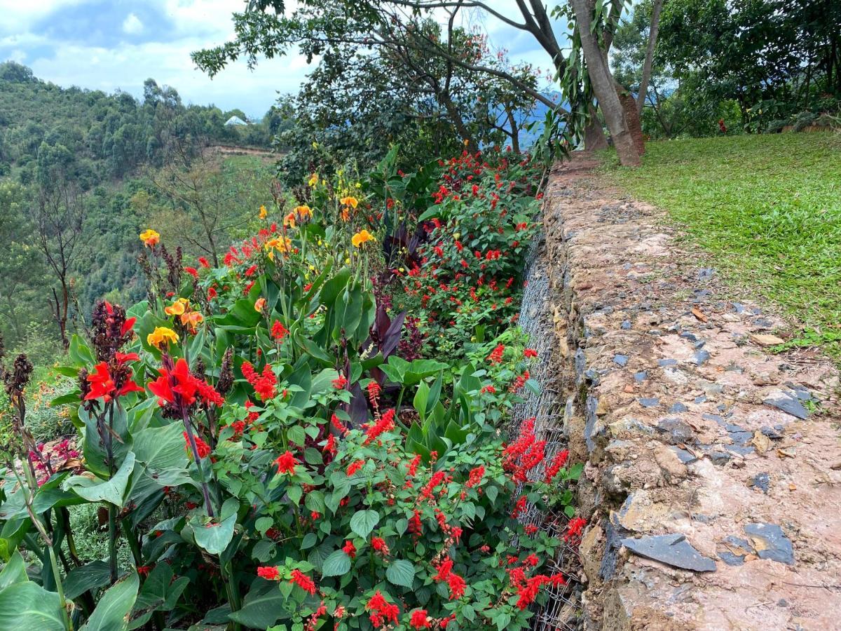 Chameleon Hill Forest Lodge Bwindi Impenetrable Park Esterno foto