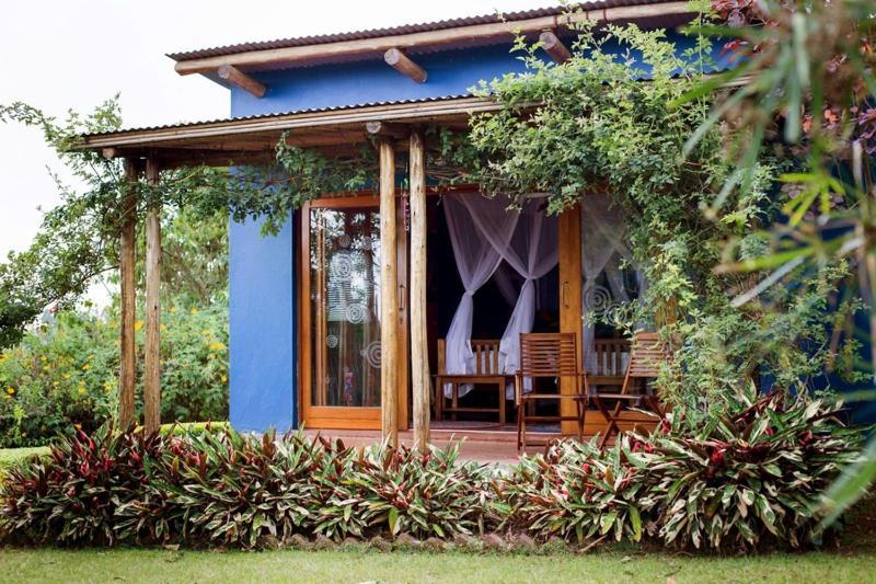 Chameleon Hill Forest Lodge Bwindi Impenetrable Park Esterno foto